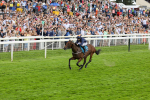 290723-Race 4-Blue Prince-3937