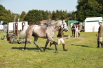 SBM_20038