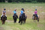 Camera 1 Gallops portfolio