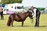 SBM_01907
