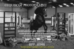 BPP_6946