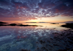 West Coast Tranquility