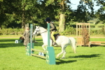 SBM_36303