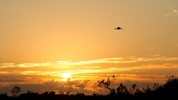 SunBeachWater  _0009