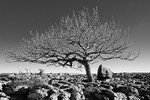 Newbiggin Crags 10