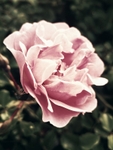 20190809_193331