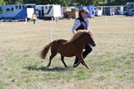 WJ6_4619