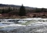 Galloway Forest