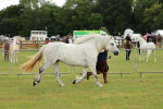 SBM_00488