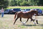 WJ6_4857