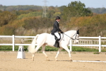 SBM_001393