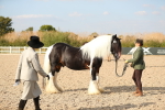 SBM_08575