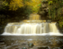 Cotter Force