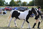 WJ6_6639