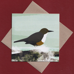 Dipper greetings card