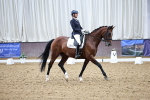 SBM_006094