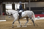 BPP_2449