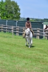 SBM_06035