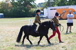 WJ6_7718