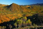Flinders Geosyncline-173