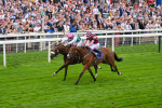 230825-Race 2-Tarriance-0025