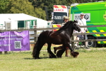 SBM_08541