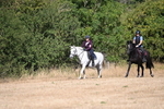 WJ6_8124