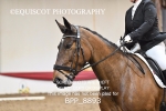 BPP_8893