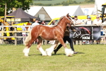 SBM_08556