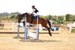 SBM_000781