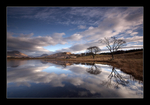 Awe Reflections