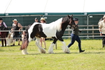 SBM_08756