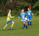 DSC01035