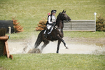 BVHT 140517  IXC -478