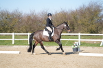 SBM_003330