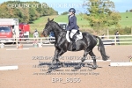 BPP_8056