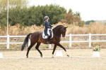 SBM_006881