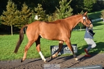 407-UNNAMED.(809948)-Lucy.Strong-TrotUp+SJ portfolio