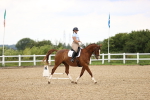 SBM_001919