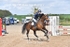 BPP_4393