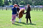 SBM_05795