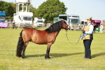 SBM_00605