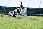SBM_19382