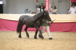 SBM_05656