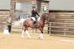 SBM_001912