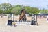 BPP_3853