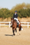 SBM_016537