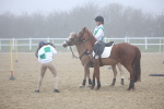SBM_000985