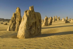 Fingers in the Desert portfolio