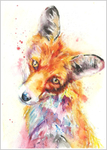 Fox Limited Edition Print 433